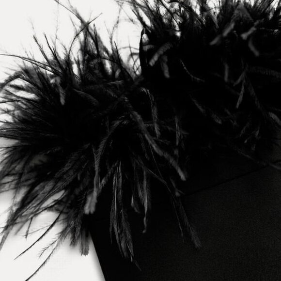 BNWT Zara Strapless Feather Top in Black, Size Large - Picture 6 of 6